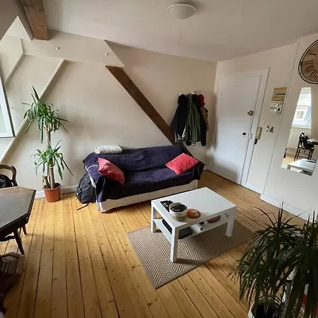 Joli 2 Pieces - Krutenau Austerlitz Apartment *