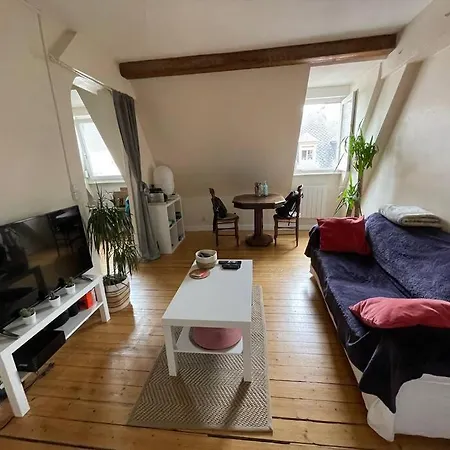 Apartment Joli 2 Pieces - Krutenau Austerlitz