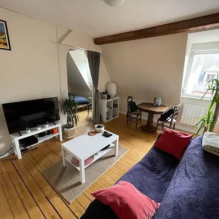 Apartment Joli 2 Pieces - Krutenau Austerlitz *