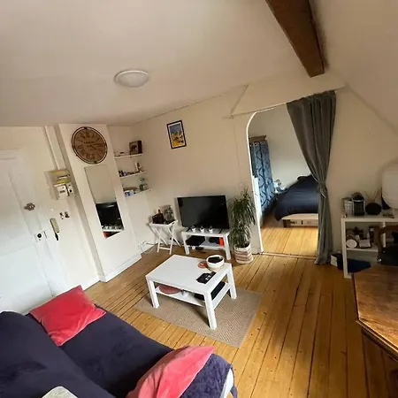 Apartment Joli 2 Pieces - Krutenau Austerlitz
